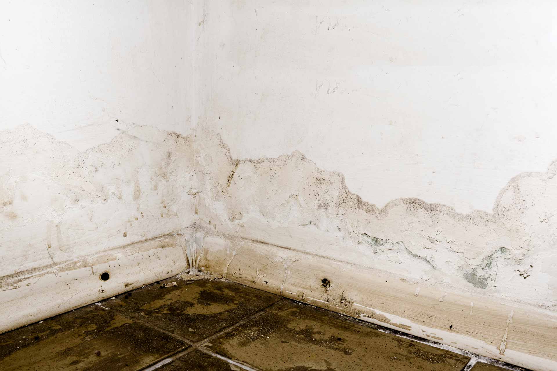 Flooded basement with water damage and mold