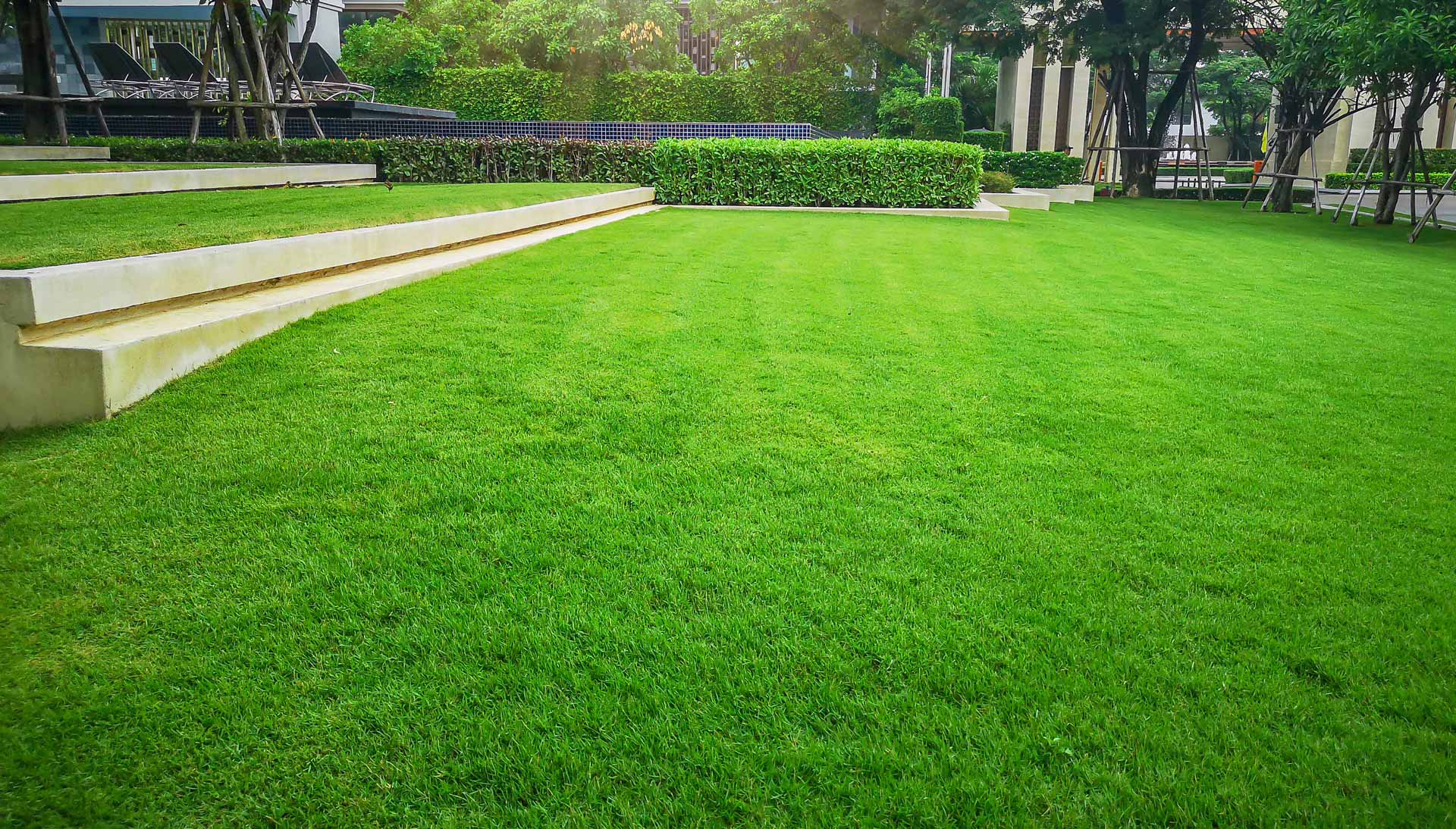 Well-maintained lawn with a slight slope away from the house and down to the road