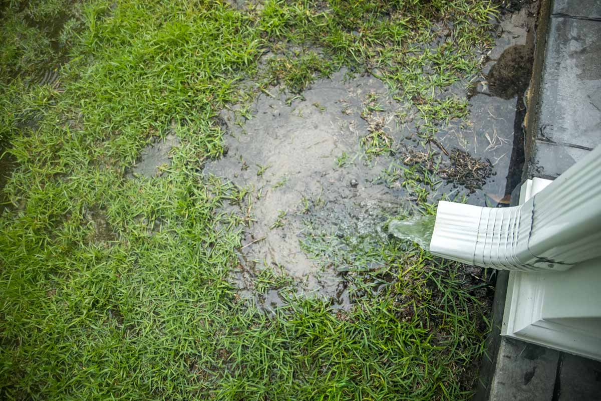 Water pooling on lawn near house's foundation